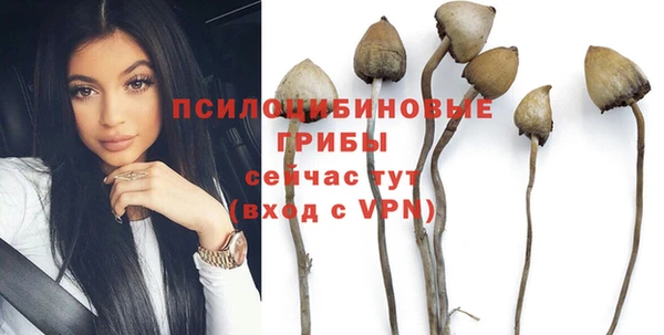 тгк Осташков