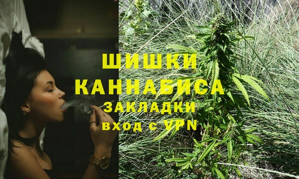 прущая мука Губаха