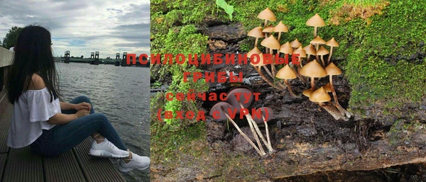тгк Осташков