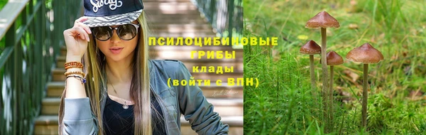 тгк Осташков
