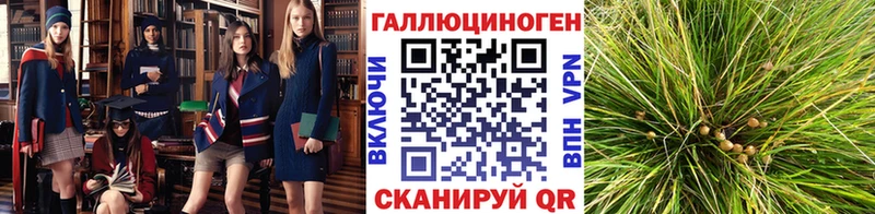 Галлюциногенные грибы MAGIC MUSHROOMS  Яранск 